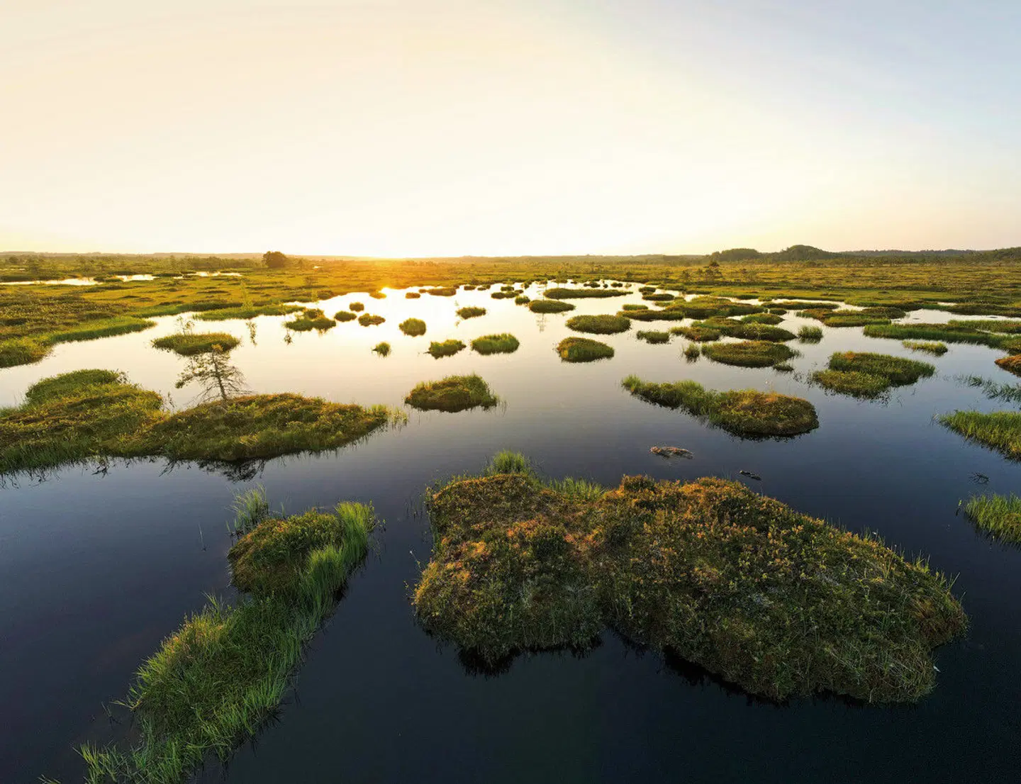 Der Ruf Afrikas - Savanne, Delta & Donnernde Fälle LANDSCAPE