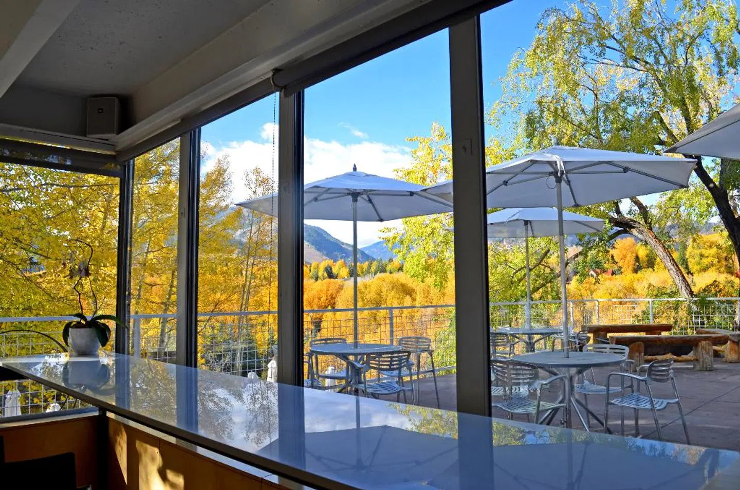 Aspen Meadows Resort Hallenbad