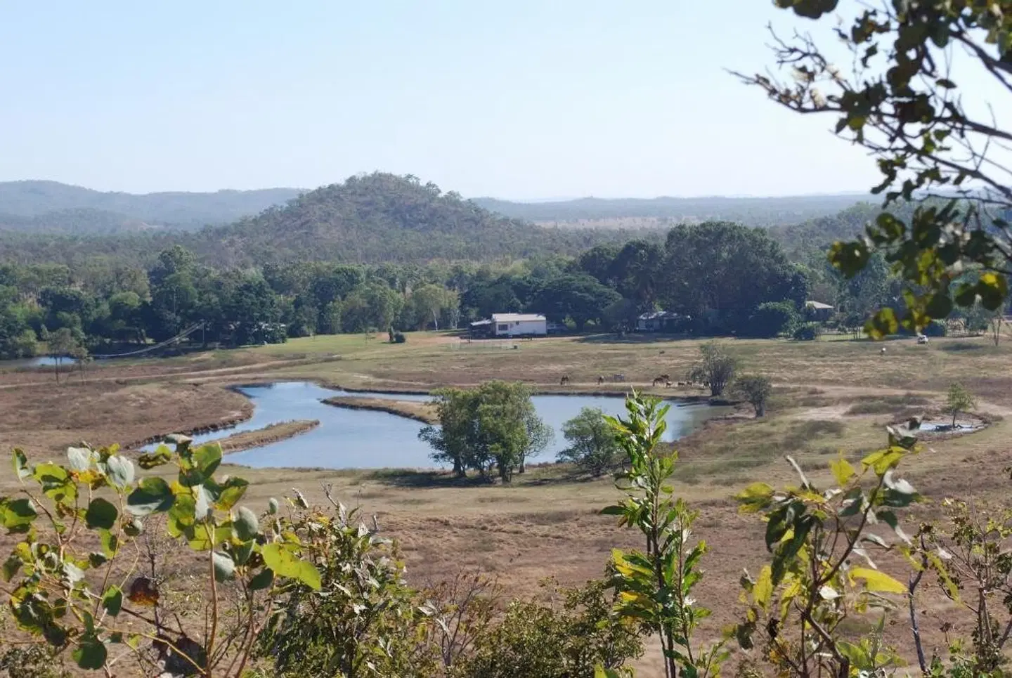 Mount Bundy Station LANDSCAPE