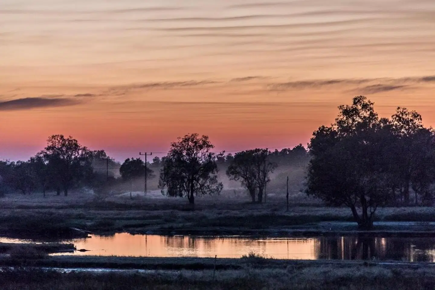 Mount Bundy Station LANDSCAPE
