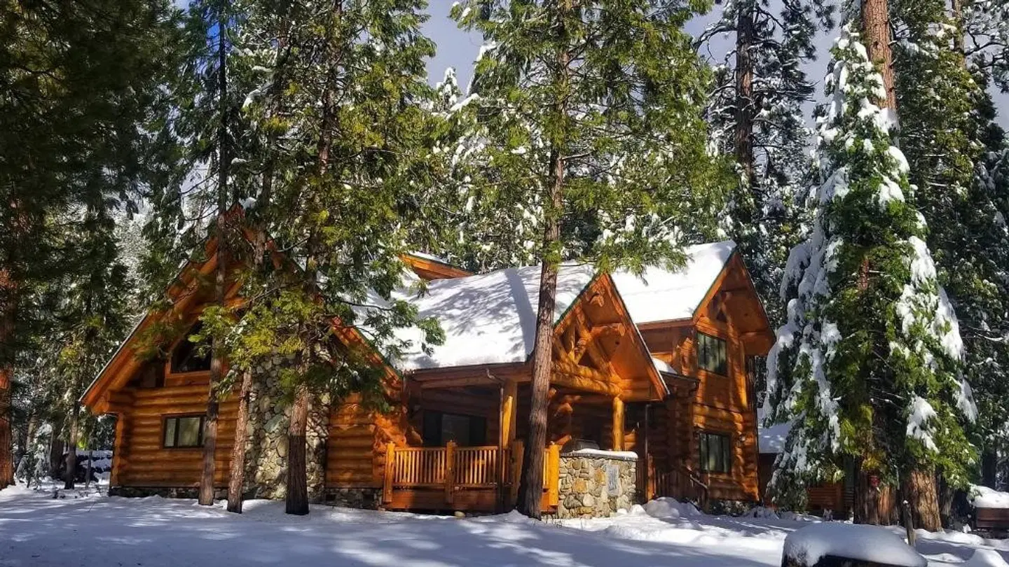 The Redwoods In Yosemite EXTERIOR