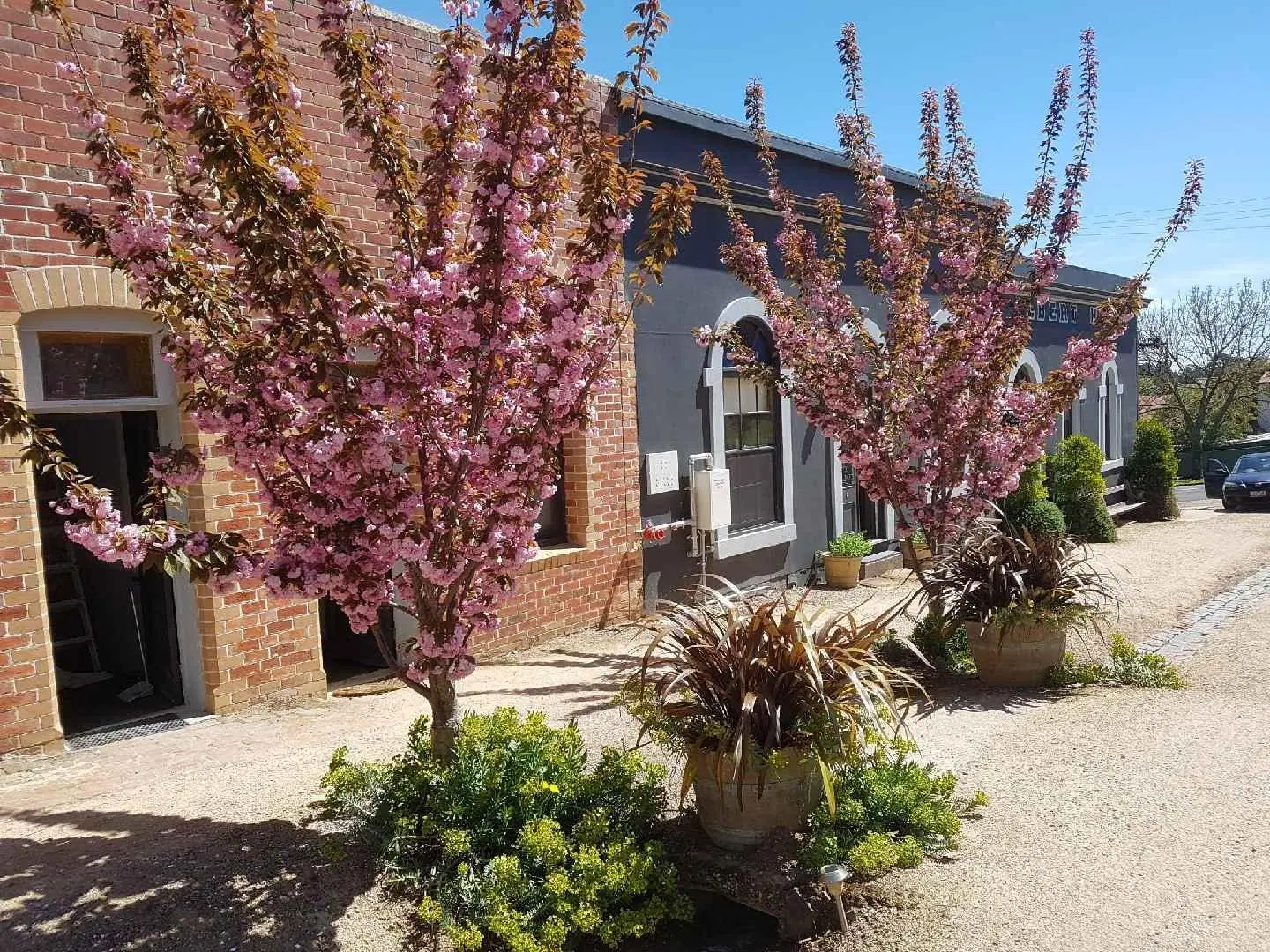 Albert Guest House and Mills Spa Suites EXTERIOR