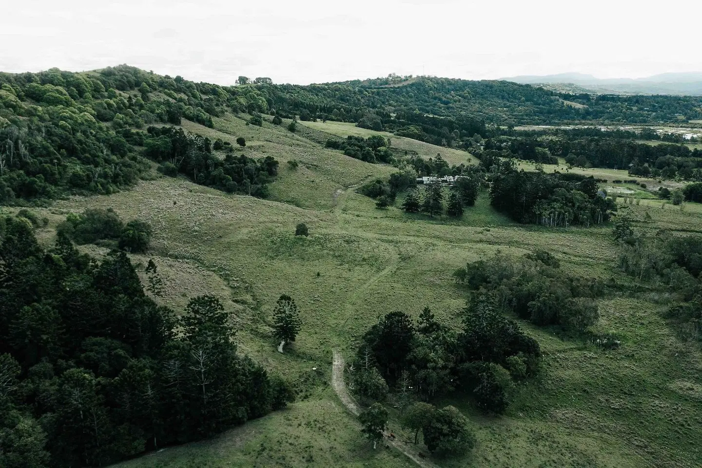 Cape Byron Retreat LANDSCAPE
