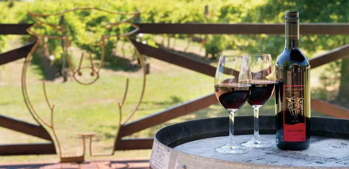 Wild Cattle Creek Estate Terrasse