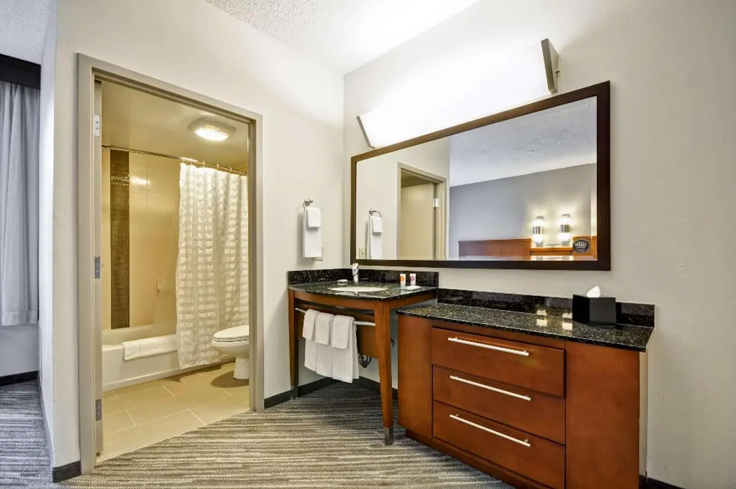 Hyatt Place Tampa Airport/Westshore ROOM_EXAMPLE