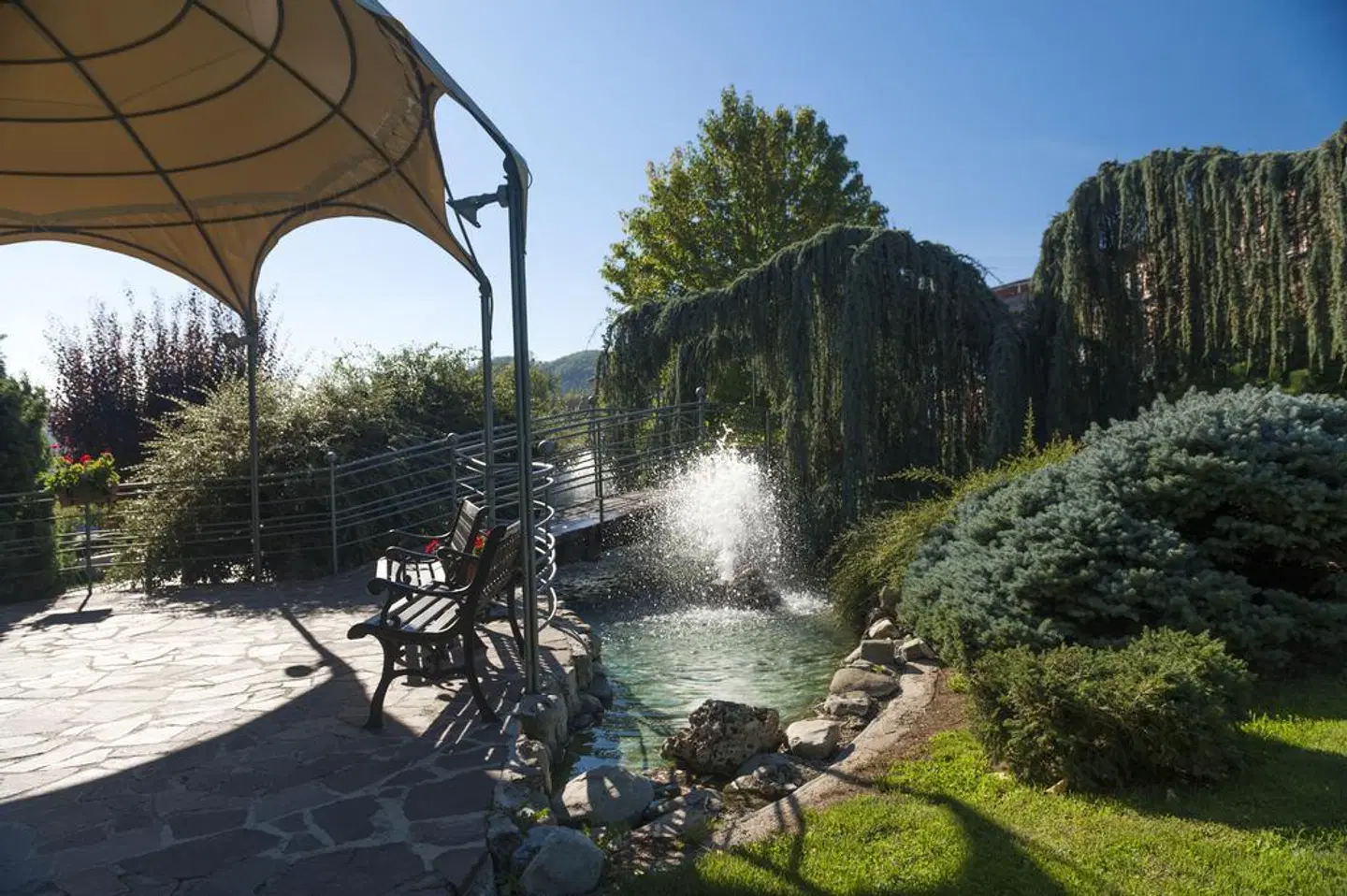 Bouganville Garten