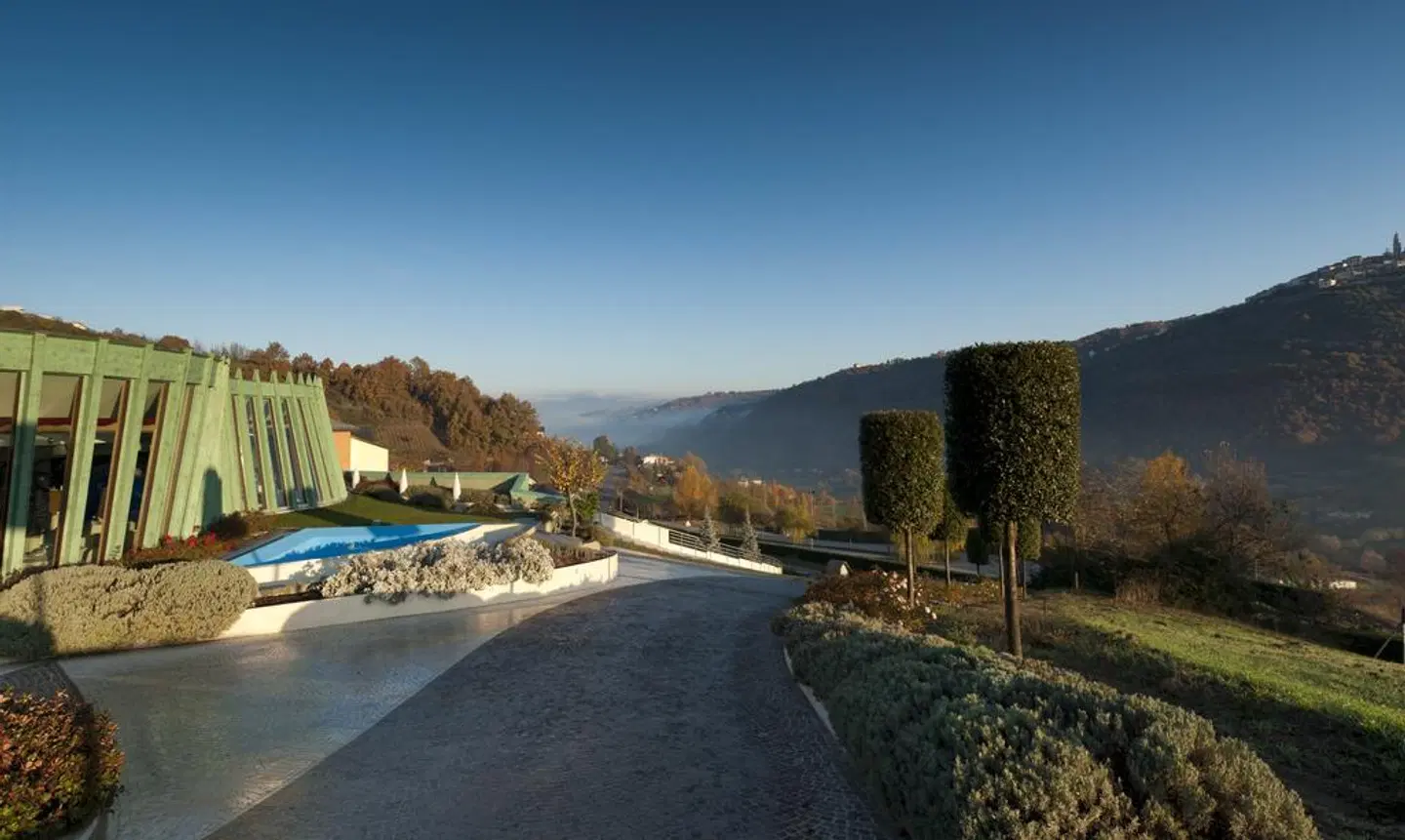 Bouganville LANDSCAPE