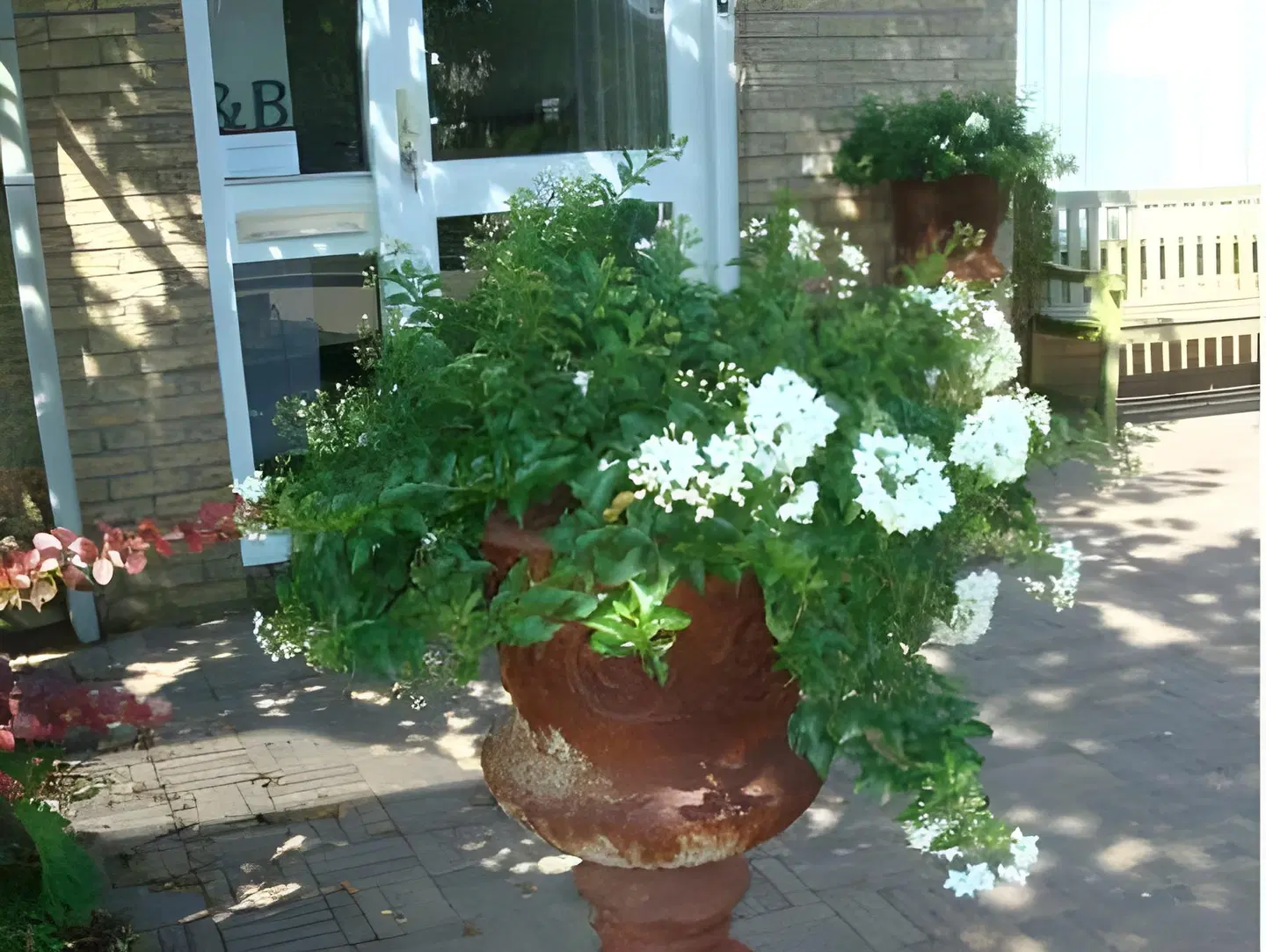 De Koog Terrasse