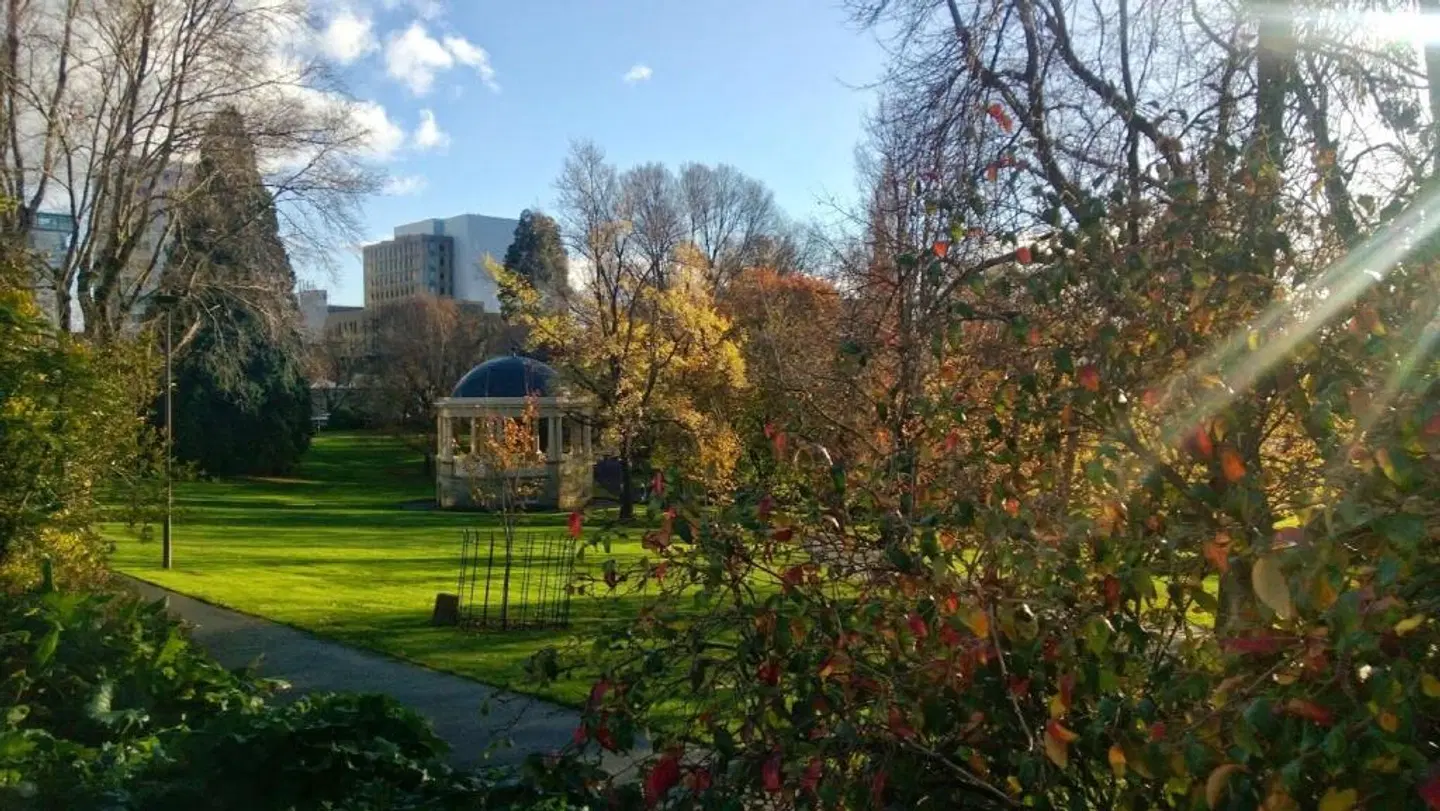 Salamanca Inn LANDSCAPE