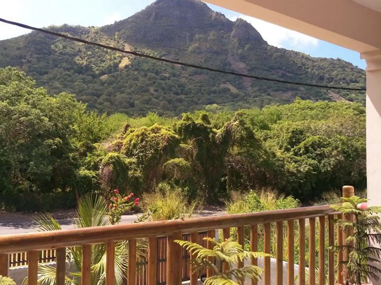 Suntoo Villa LANDSCAPE