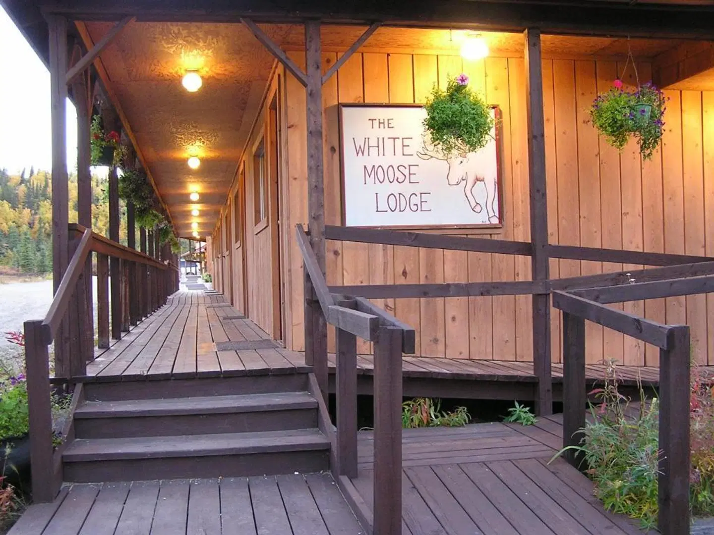 White Moose Lodge LOUNGE_LOBBY