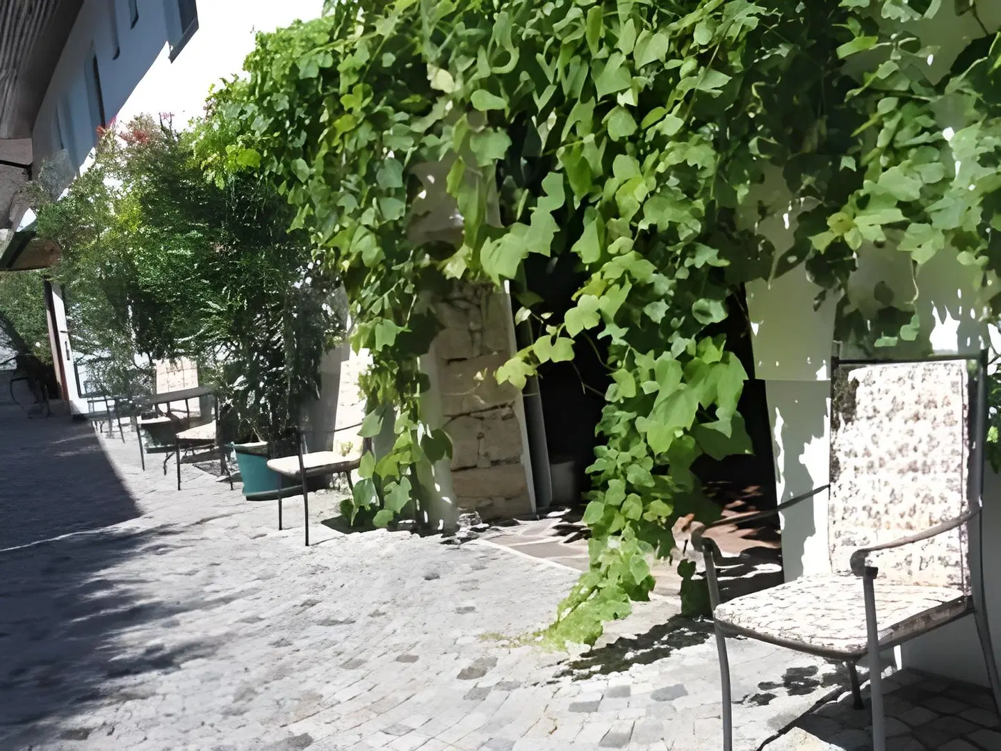 Gartenpension Fischl Garten