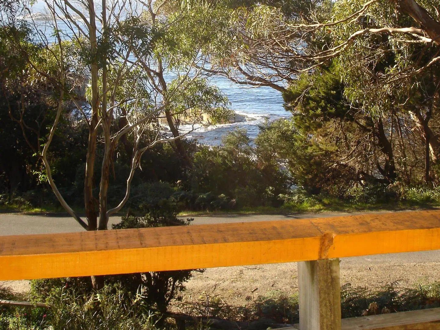Bicheno by the Bay LANDSCAPE