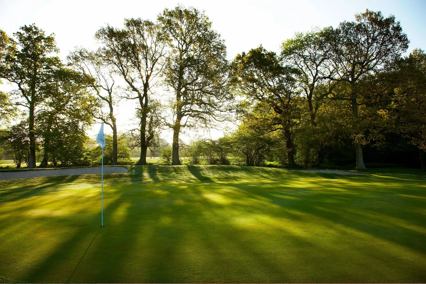 Lingfield Park Marriott Hotel & Country Club LANDSCAPE