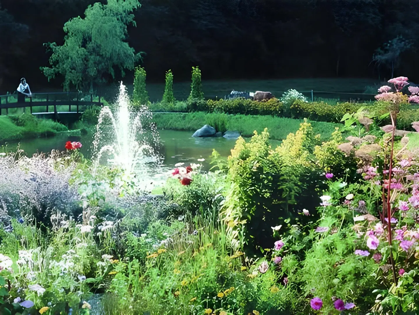 Waldschlößchen Garten