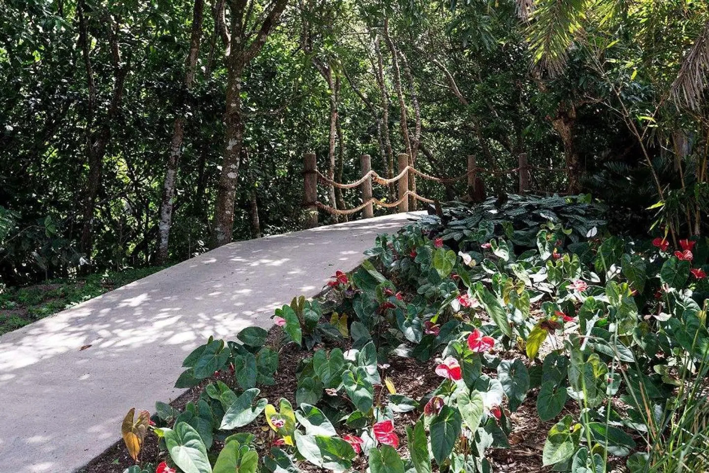 Belle Mont Sanctuary Resort at Kittitian Hill LANDSCAPE