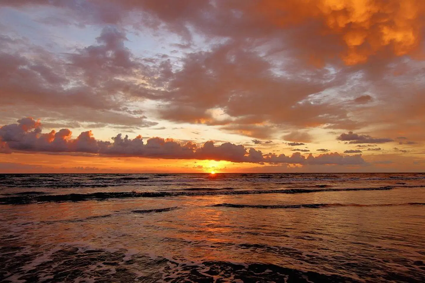 Aloft by Marriott Delray Beach LANDSCAPE