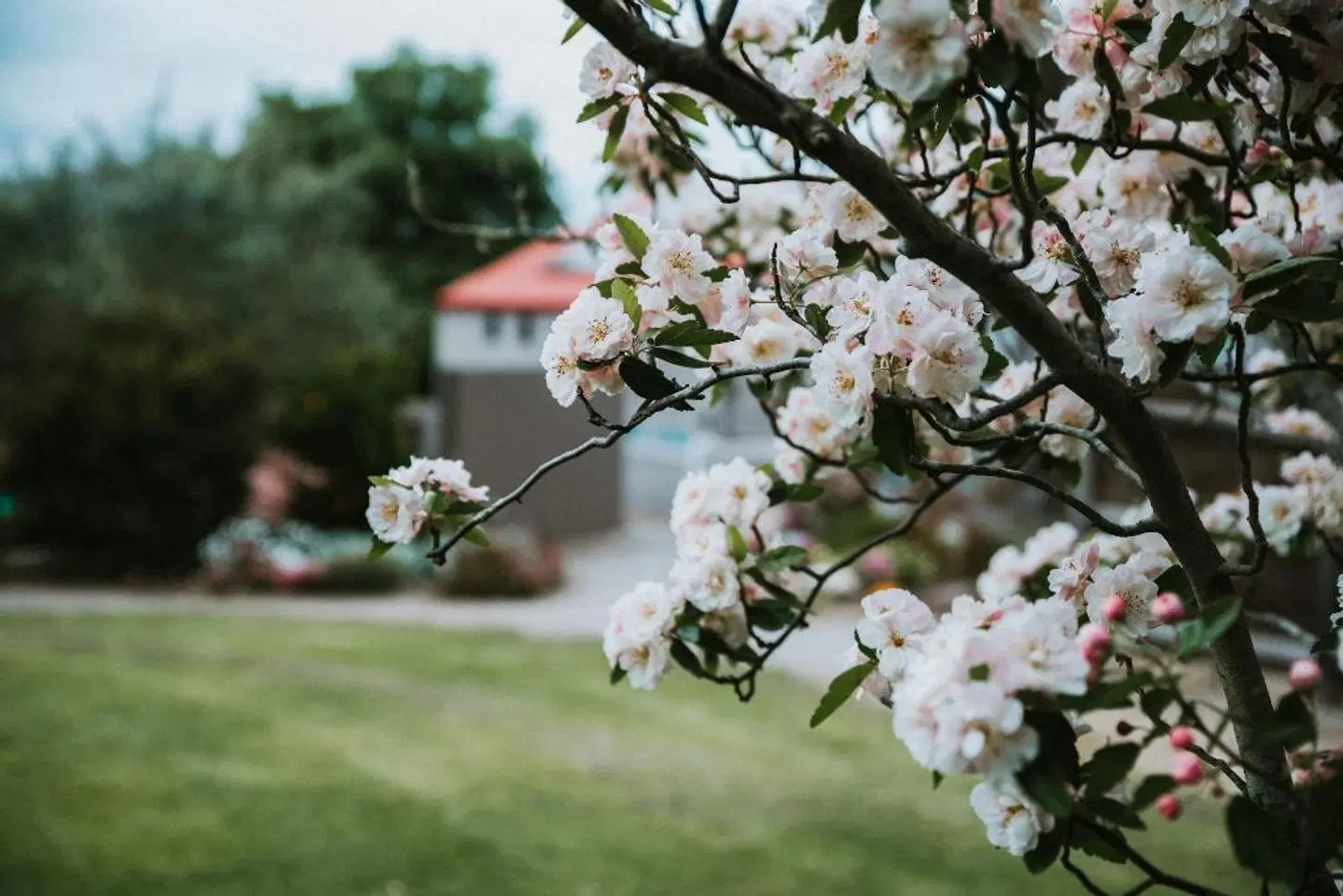 Araluen Lodge LANDSCAPE