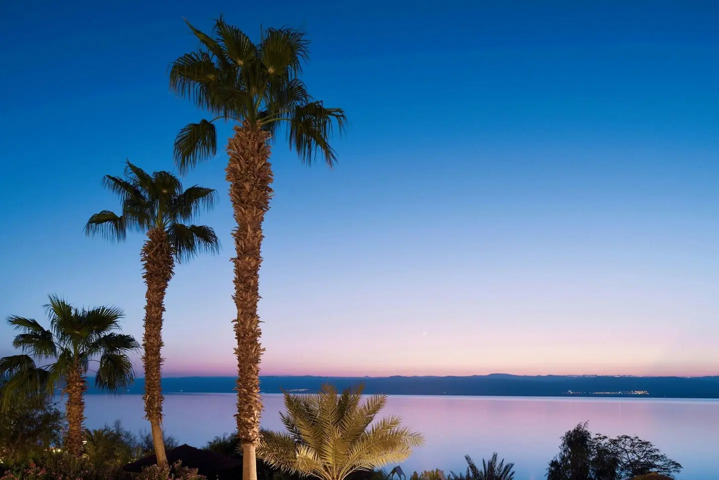 Dead Sea Marriott Resort & Spa LANDSCAPE