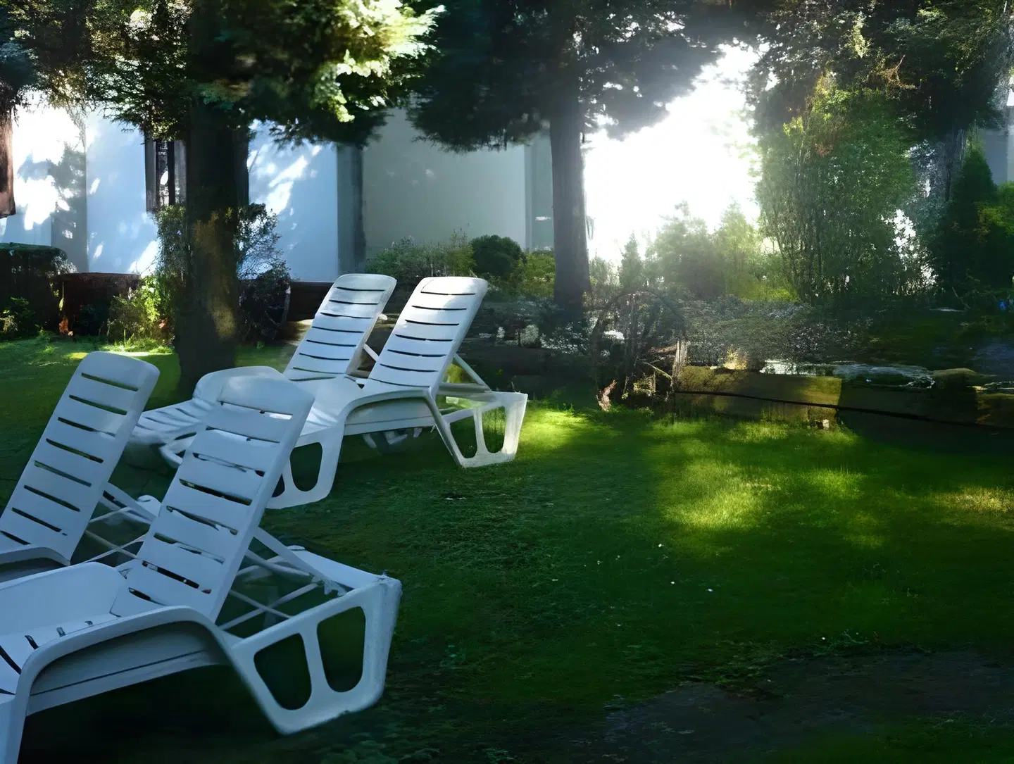 Frühstückspension Waldfriede Garten