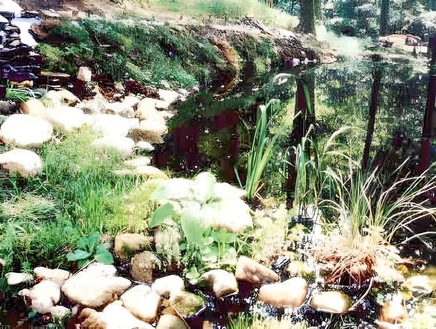 Frühstückspension Waldfriede LANDSCAPE