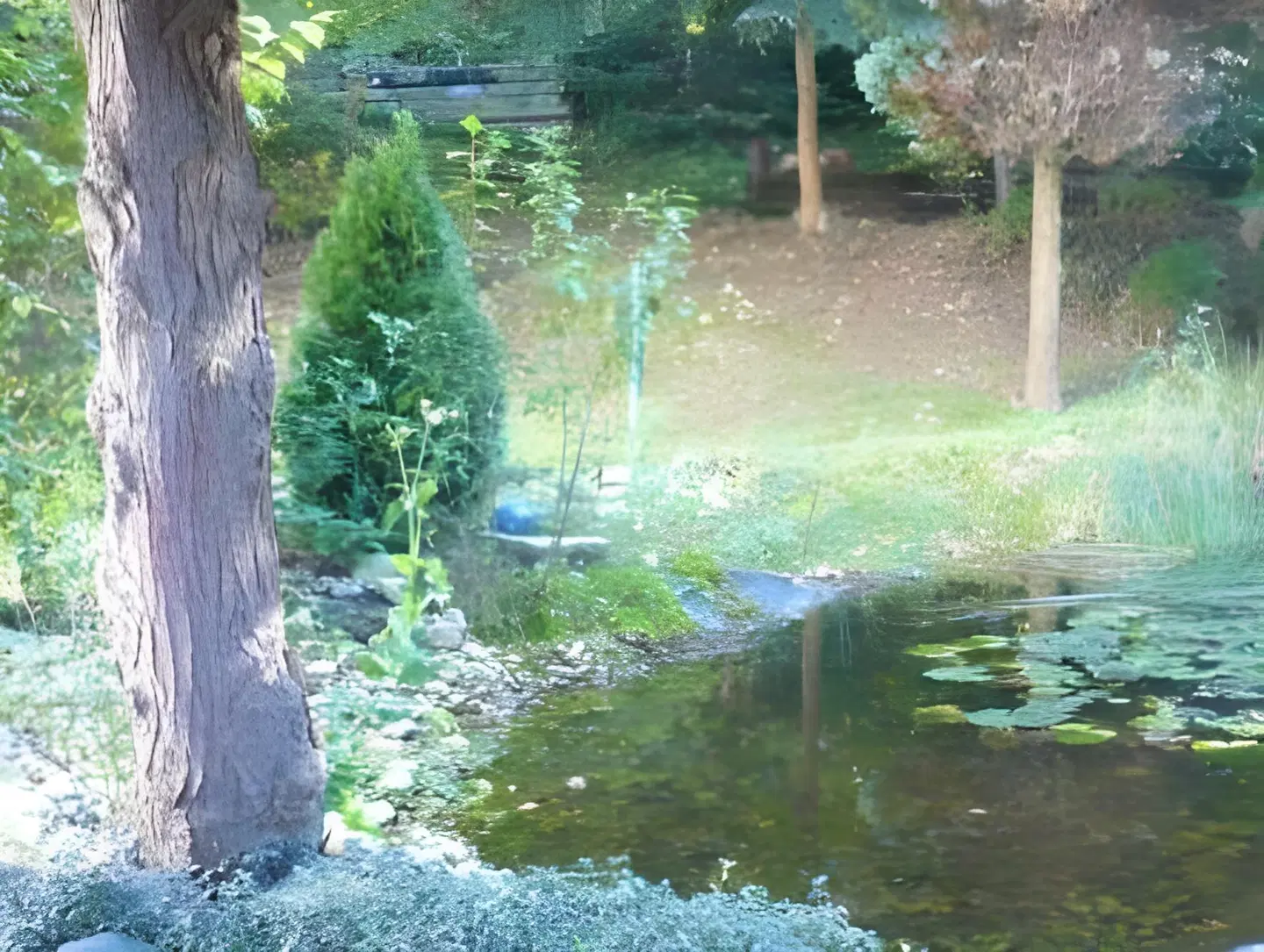 Frühstückspension Waldfriede Garten