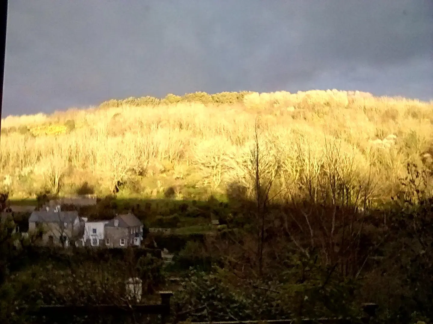 Gallen-Treath Guest House LANDSCAPE