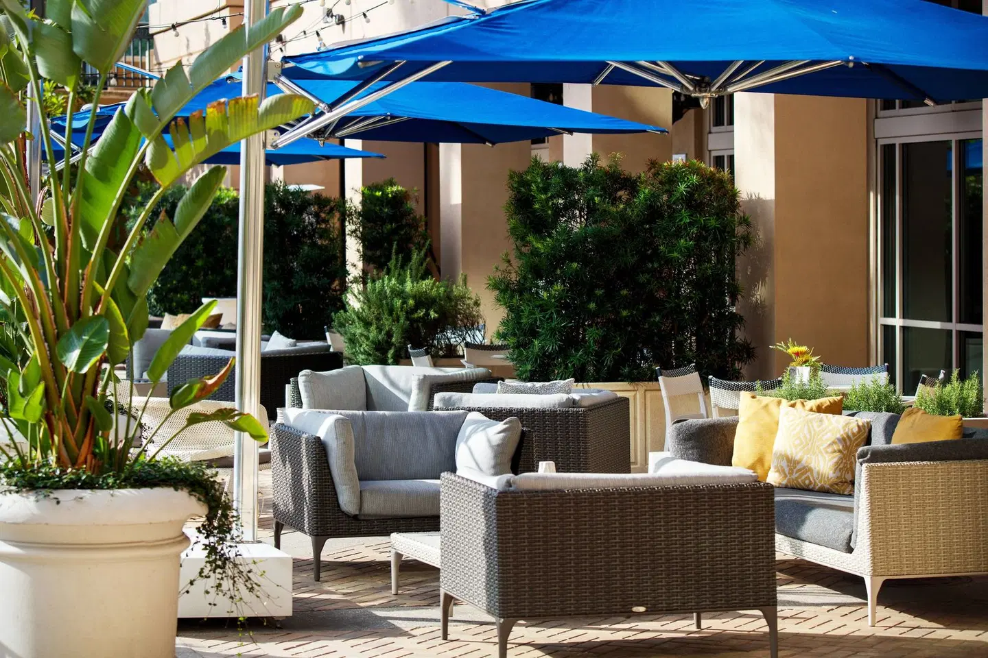 Renaissance Tampa International Plaza Hotel Terrasse