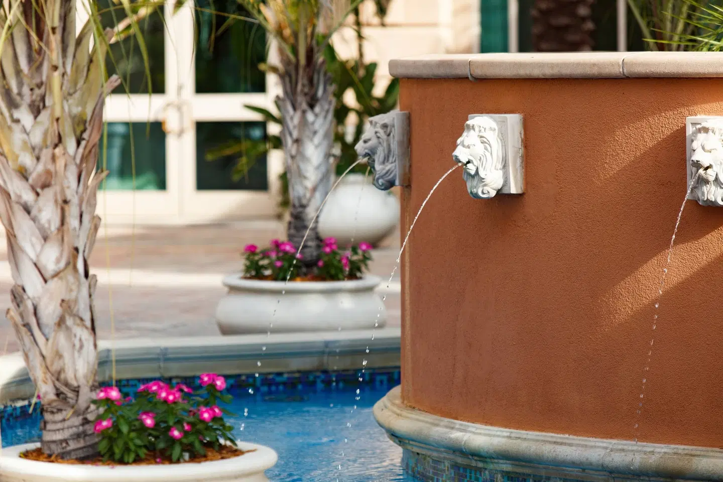 Renaissance Tampa International Plaza Hotel HEALTH_BEAUTY
