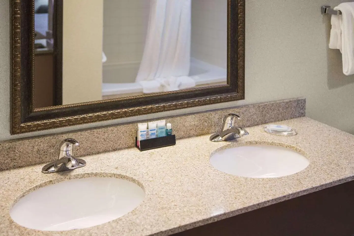 Wyndham Garden Grand Rapids Airport Badezimmer