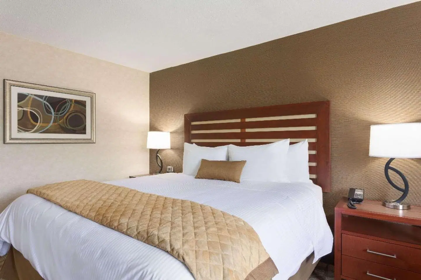 Wyndham Garden Grand Rapids Airport ROOM_EXAMPLE