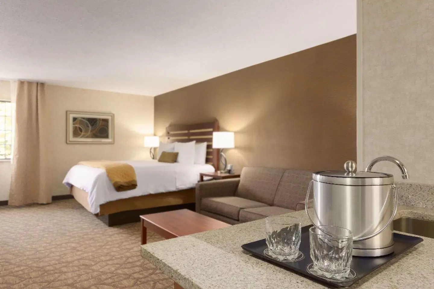 Wyndham Garden Grand Rapids Airport ROOM_EXAMPLE