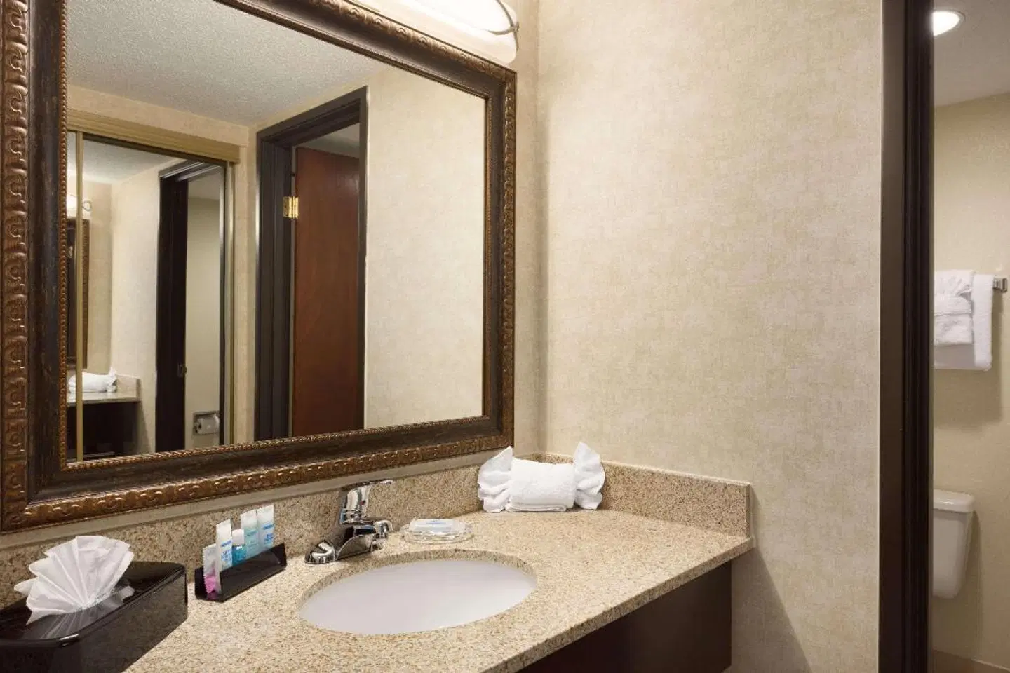 Wyndham Garden Grand Rapids Airport Badezimmer