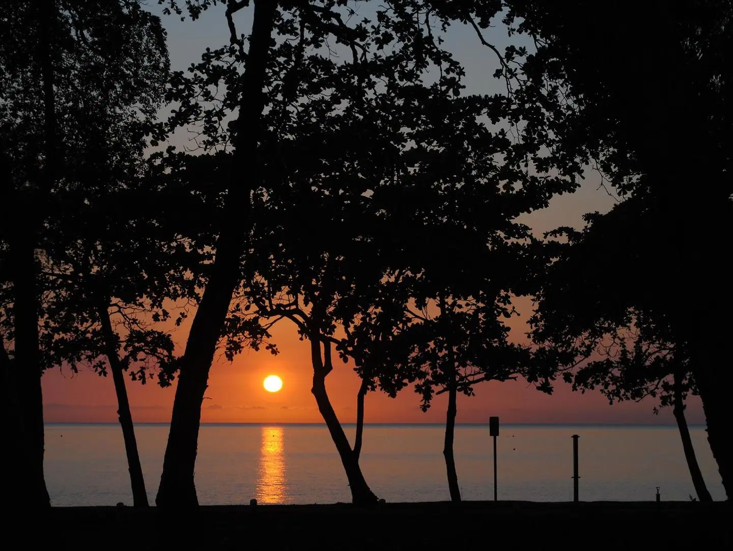 BeachView Apartments at Villa Paradiso LANDSCAPE
