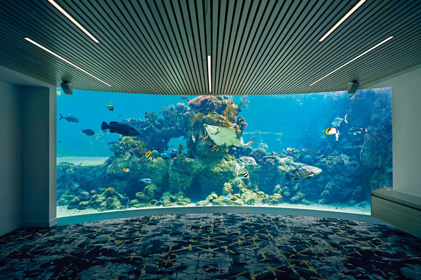 Daydream Island Resort Hallenbad