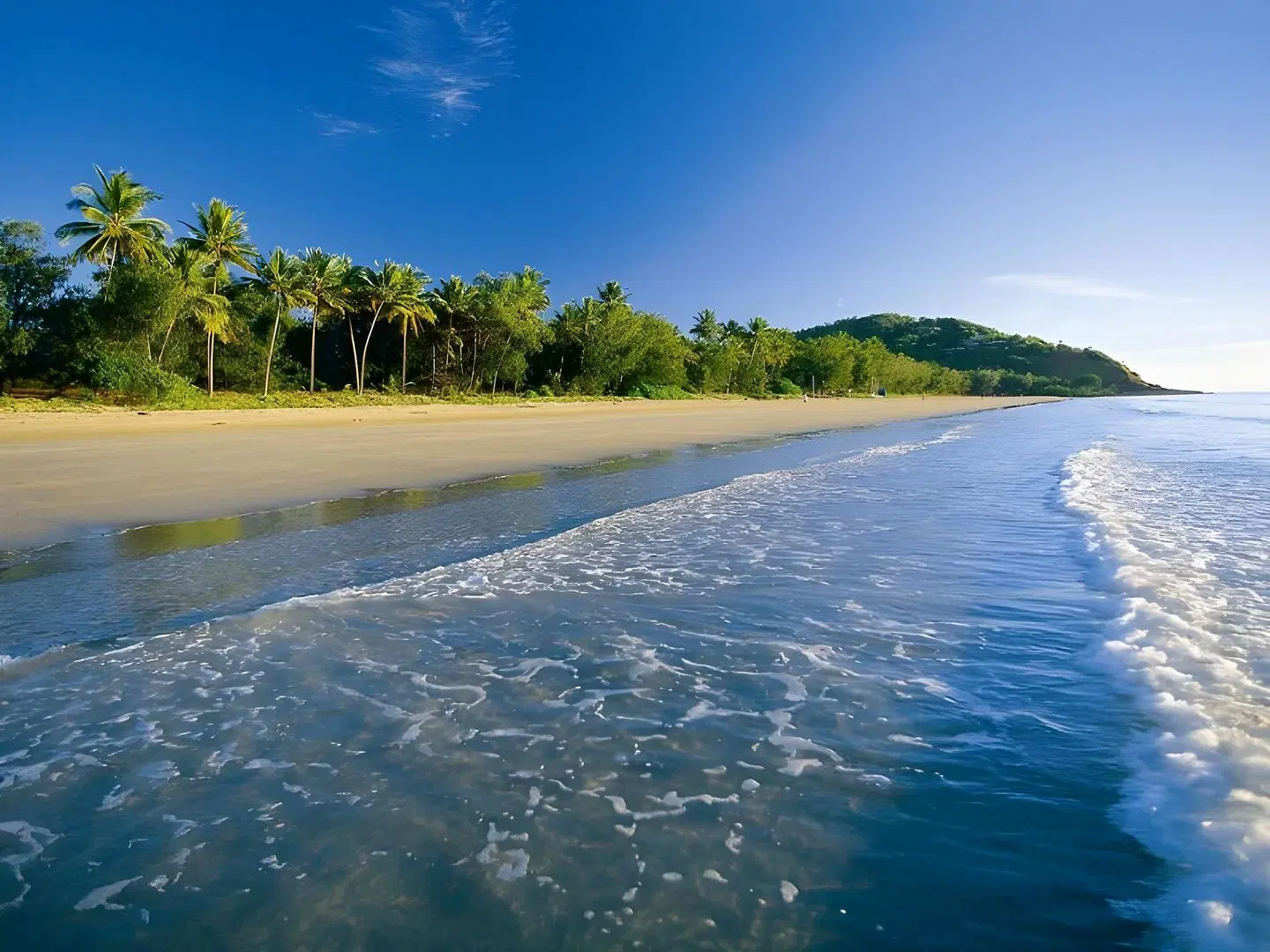Beachfront Apartments on Trinity Beach LANDSCAPE