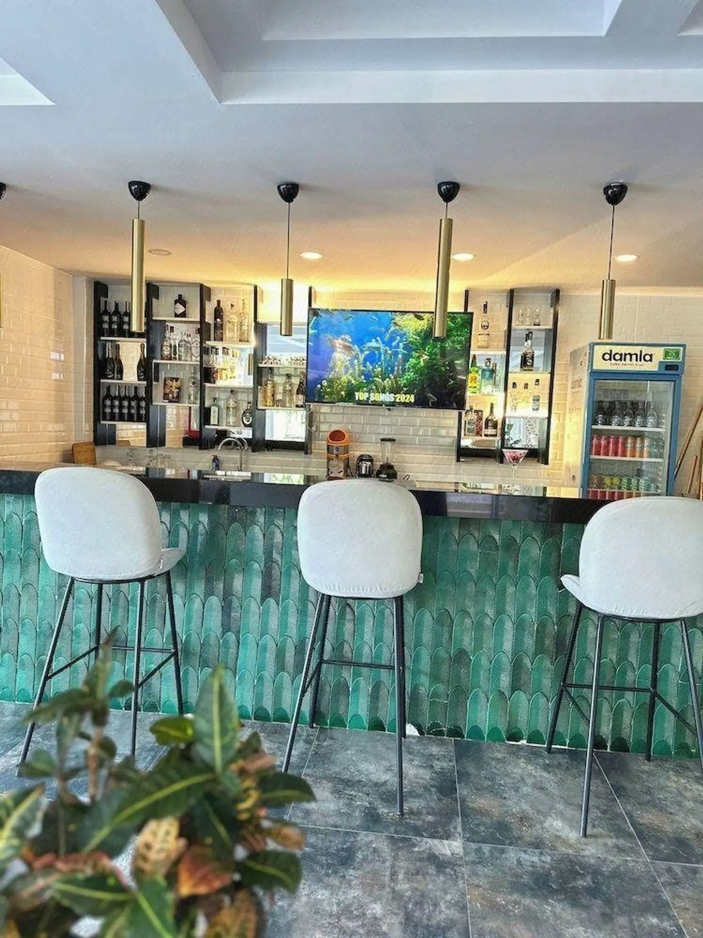 Mogons Exclusive Bar