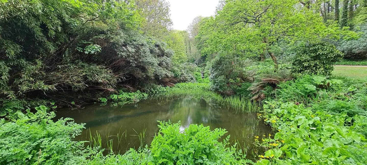 Budock Vean Garten