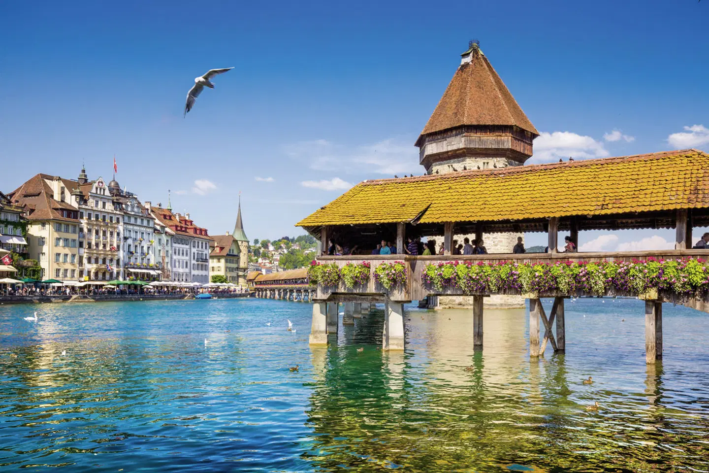 GoldenPass Express von Luzern bis Montreux EXTERIOR