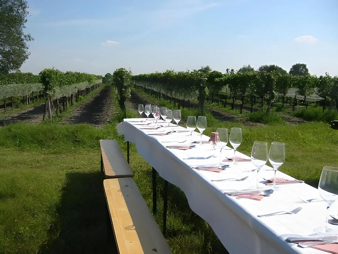 Wein & Landhaus Willi Opitz Strand