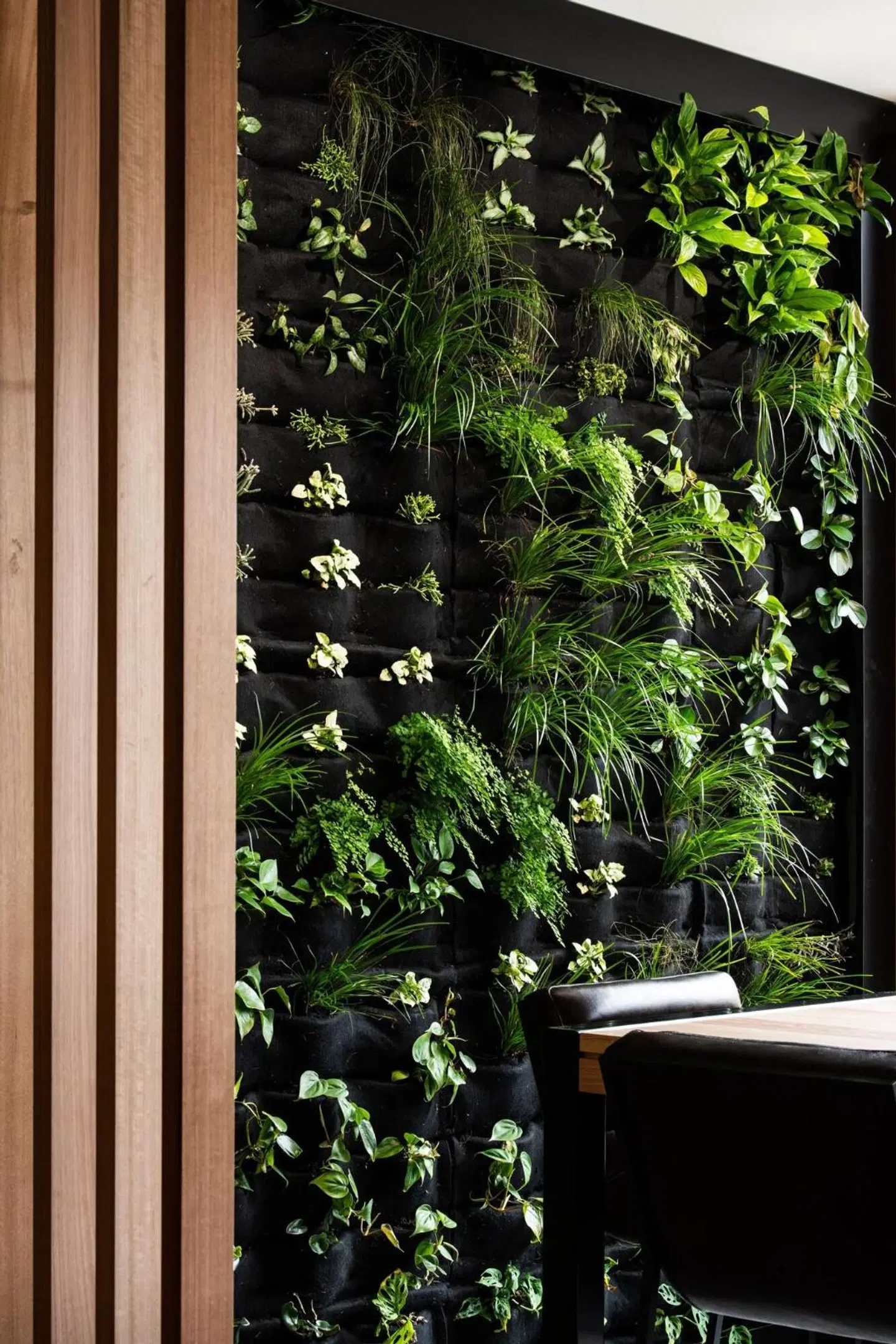 Hotel Verge Launceston Garten