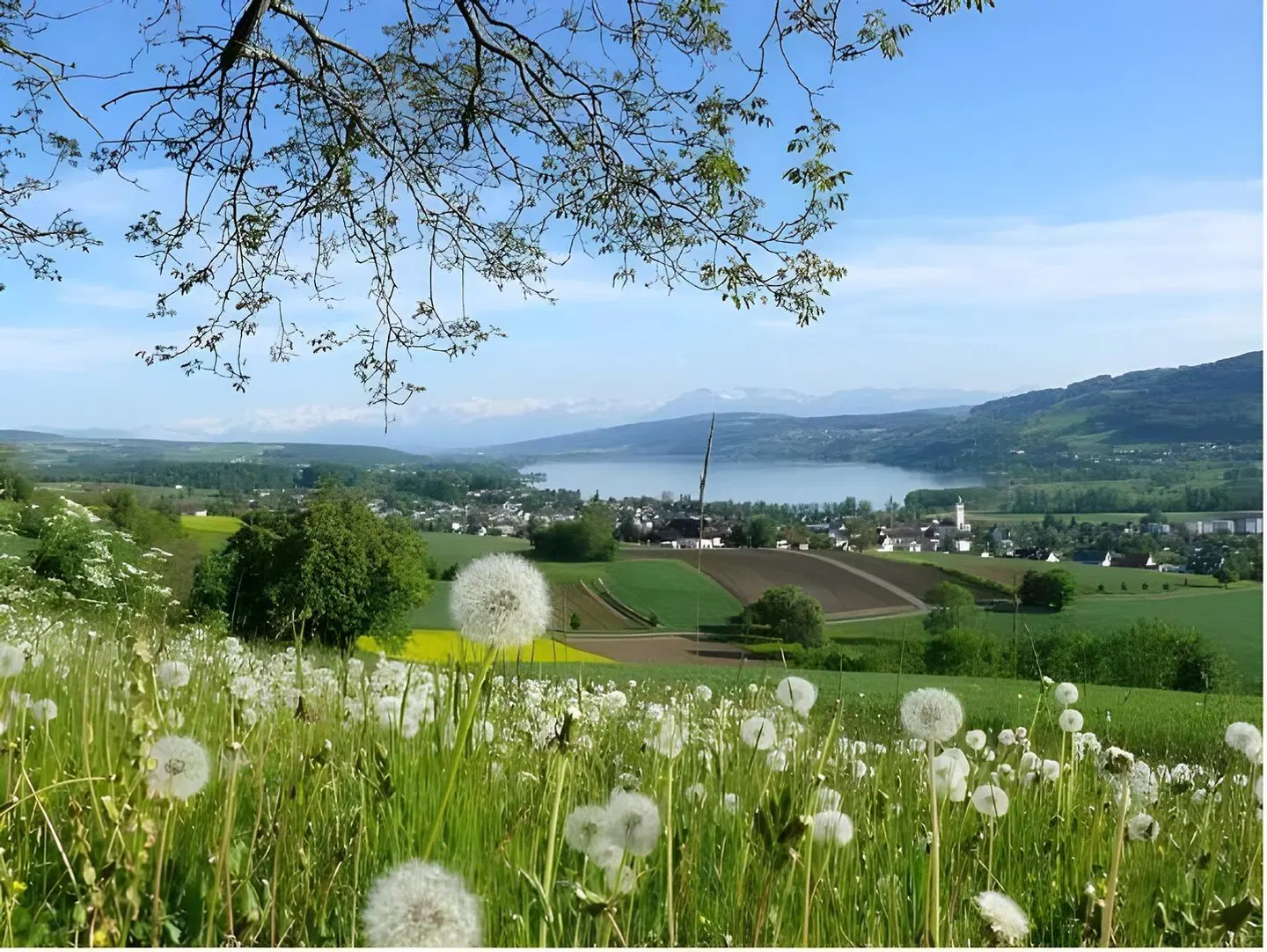 Hotel Restaurant Eichberg LANDSCAPE