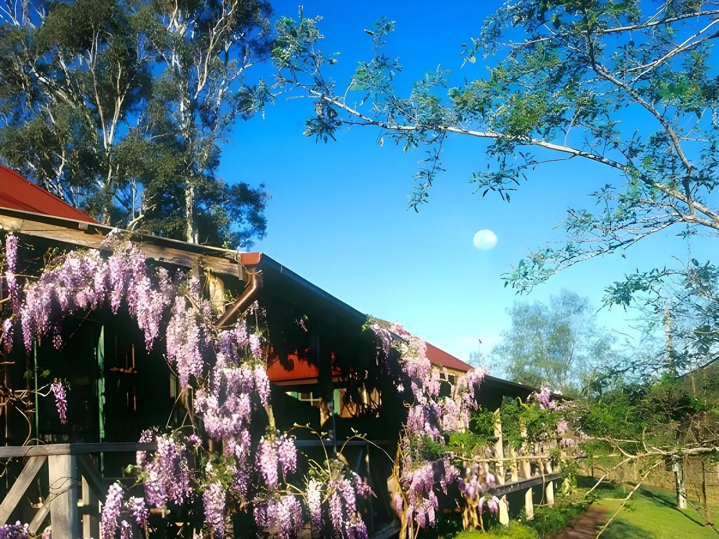 Cedar Creek Cottages EXTERIOR