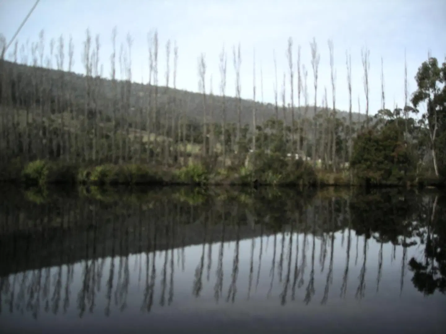 Port Huon Cottages LANDSCAPE