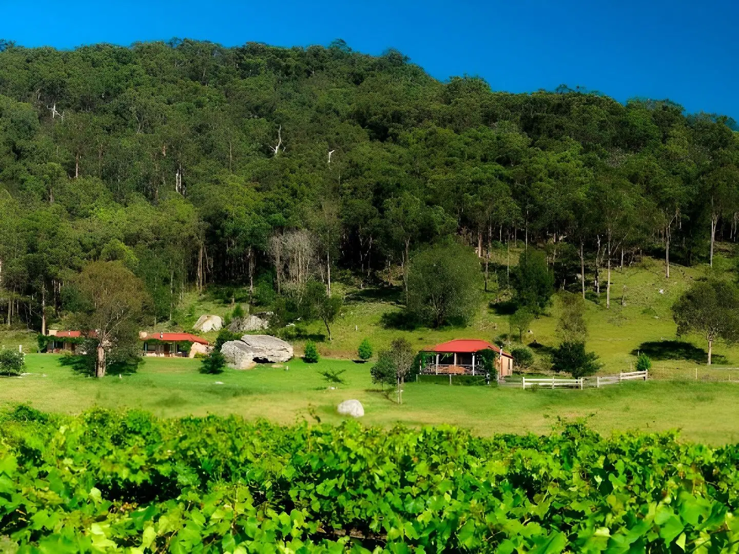 Cedar Creek Cottages Garten