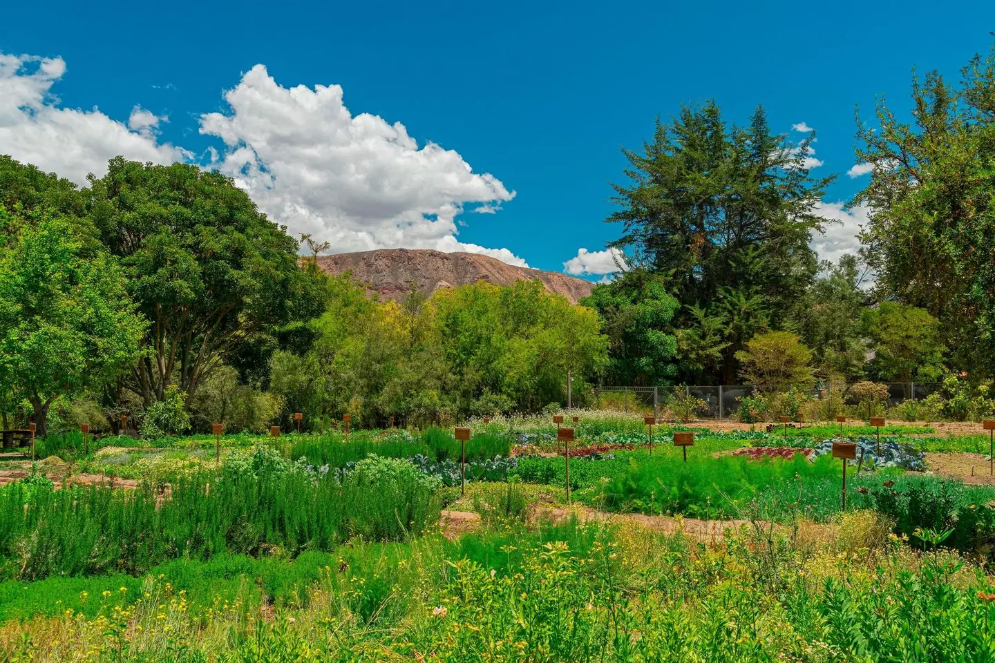 Tambo del Inka, a Luxury Collection Resort & Spa, Valle Sagrado LANDSCAPE