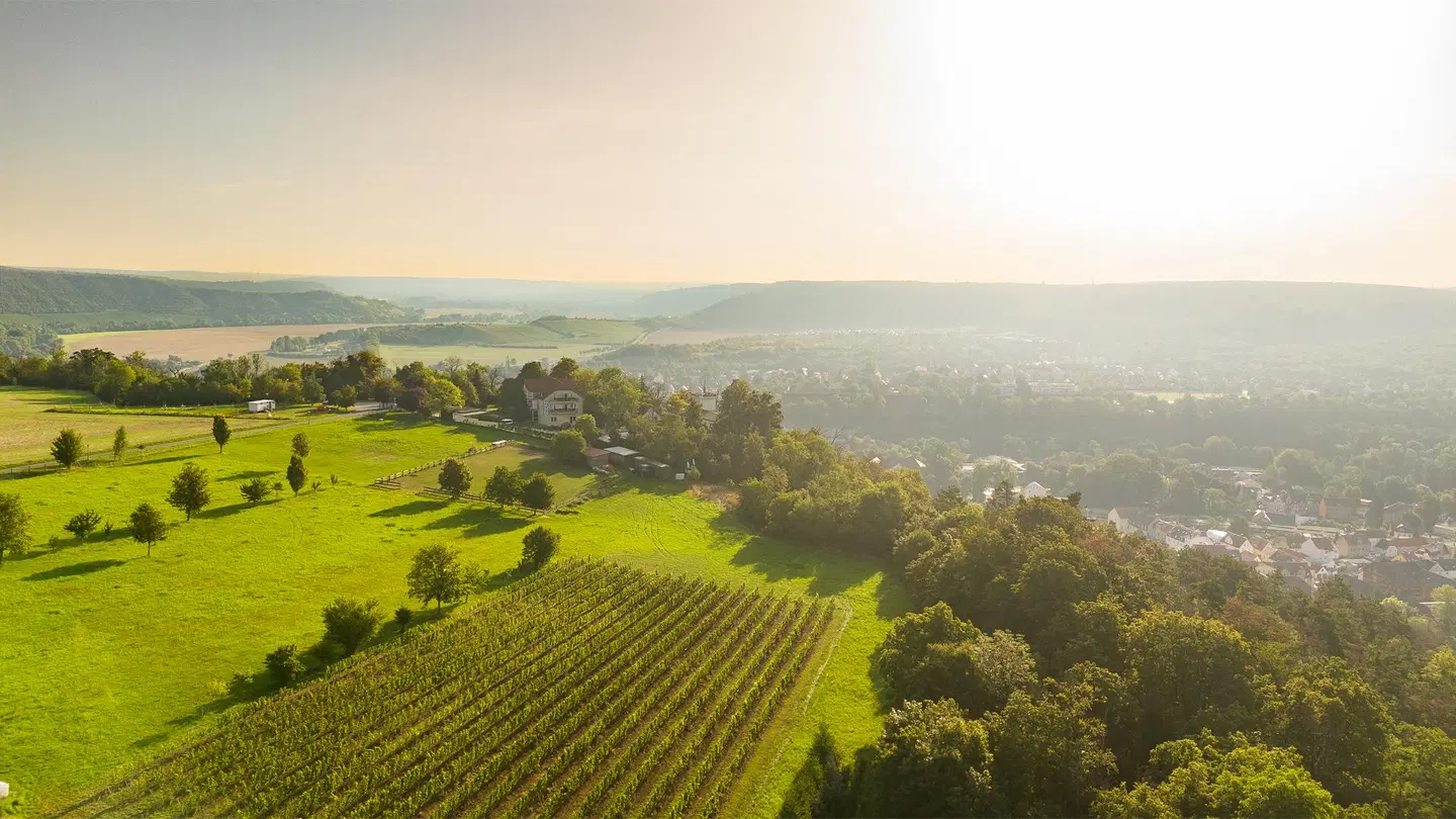 Wilhelmsburg LANDSCAPE