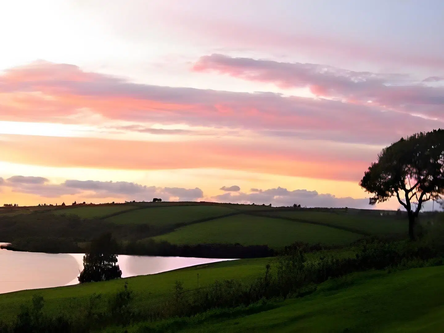 Llysyfran Farm B&B LANDSCAPE