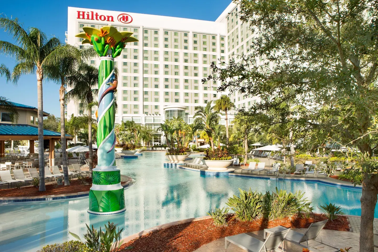 Hilton Orlando OUTDOOR_POOL