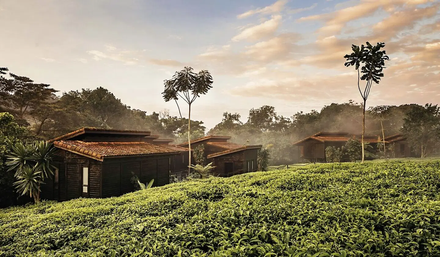 One&Only Nyungwe House Garten